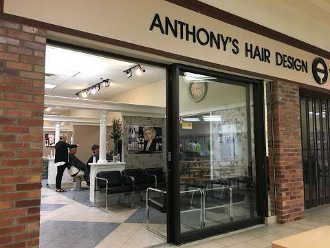 Anthony's Hair Design & Via Bella Spa